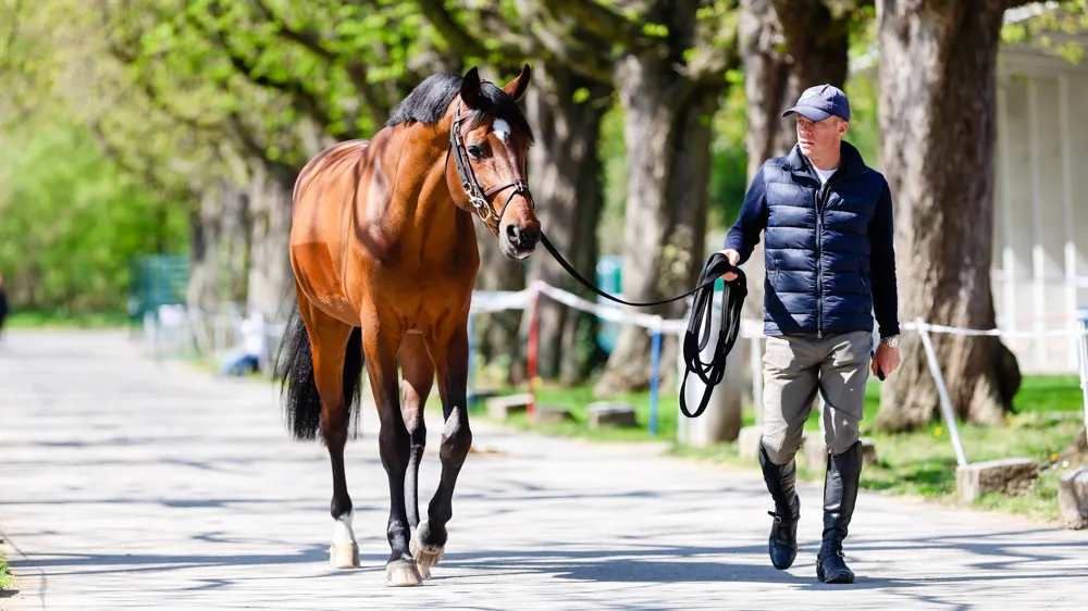 Willem Greve, ici aux côtés de son génial Highway, incarne parfaitement ce qu’est un homme de cheval.