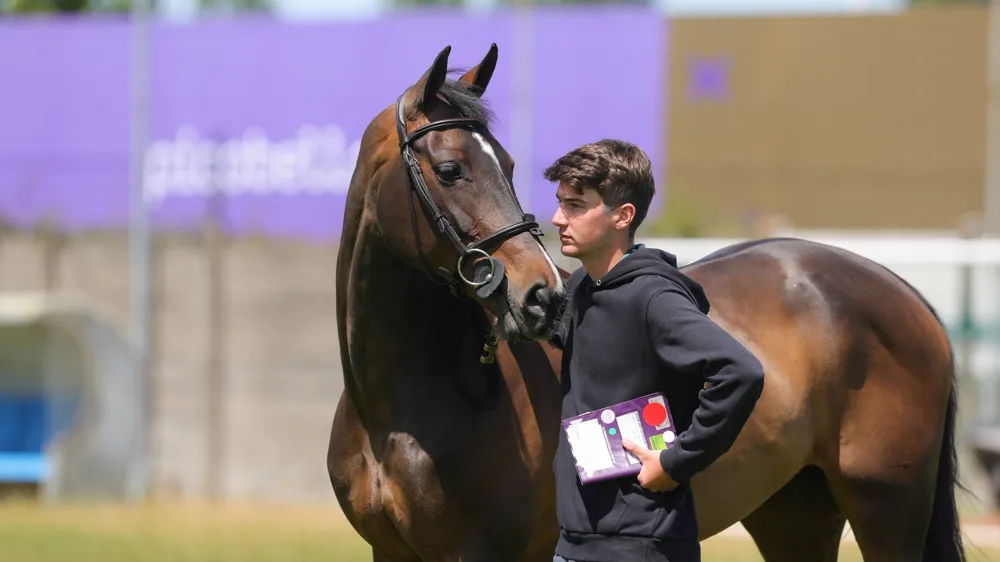Engagé au CSIO 5* de La Baule cette semaine, Gaëtan Joliat a frappé d’entrée en remportant l’épreuve d’ouverture aux rênes de Scarlina de Tiji.