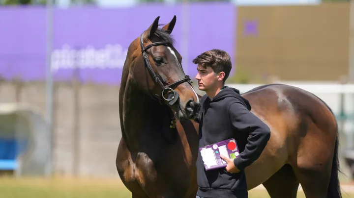 Engagé au CSIO 5* de La Baule cette semaine, Gaëtan Joliat a frappé d’entrée en remportant l’épreuve d’ouverture aux rênes de Scarlina de Tiji.