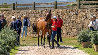 Orelie uit competitie door bijwerking van medische scan, Sprunger reageert