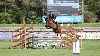 Vice-champion de France des entiers de six ans l’an dernier à Fontainebleau, Jostakin’Ka, ici sous la selle de Pierre-Marie Friant, descend d’une sacrée lignée de champions.