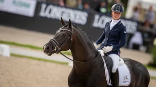 Ici sous la selle de la Suédoise Jessica Lynn Thomas, Secret s’impose comme l’un des reproducteurs les plus prometteurs dans l’élevage de chevaux de dressage.