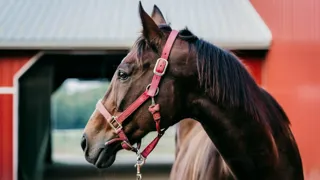 Le secteur des assurances jongle quotidiennement entre prévention des risques et balance entre primes et sinistres pour le bien de la caisse commune, que constituent les assurés.