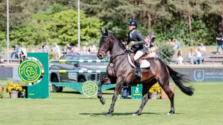 Nicolas Sers sait bien qu’il ne figure pas dans le peloton de tête pour les Mondiaux d’Aix-la-Chapelle avec Eleven de Riverland, mais se tient prêt “au cas où”.