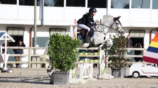Avant de produire des chevaux, Danièle Doumergue était plutôt spécialisée dans l’élevage de poneys de sport. Halifax de la Mouline, née en 2017 et ici sous la selle de Madeline Cortes, fait partie des derniers poneys nés de son élevage.
