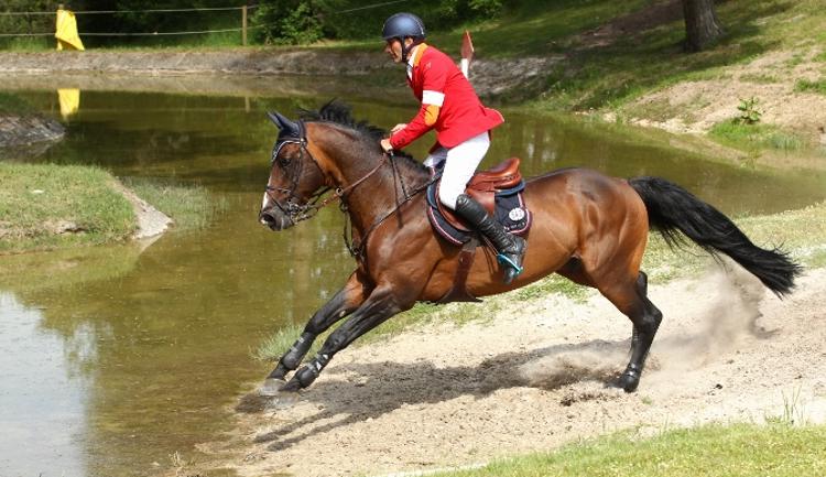 GRANDPRIX - VINCENT BARTIN EN PROMENADE SUR LE DERBY PIKEUR