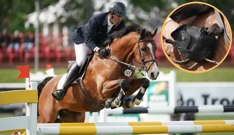 éperon électrique équitation Clearance