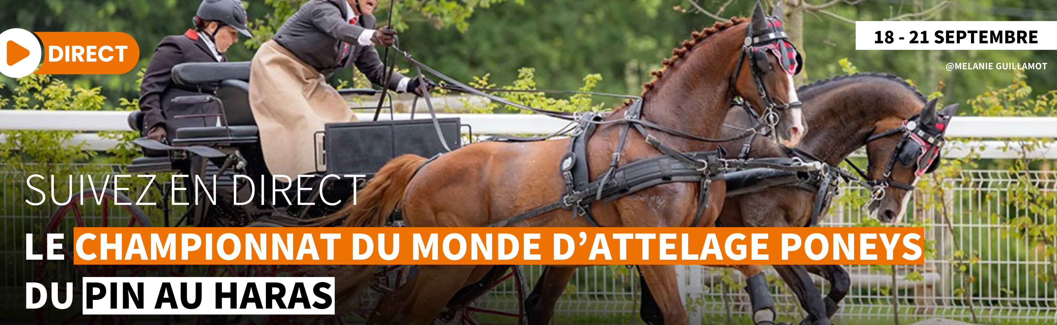 Slide Horse