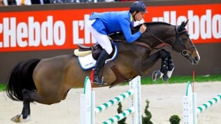 En décembre 2012, il y a douze ans déjà, Christian Ahlmann avait gagné la finale du Top Ten Rolex IJRC, épreuve mythique opposant chaque année les dix meilleurs cavaliers au monde. En selle sur le génial styliste Taloubet Z, l’Allemand avait signé le plus rapide des trois doubles sans-faute, battant de moins d’une seconde l’Australienne Edwina Tops-Alexander, deuxième sur le prodigieux Itot du Château, et de moins d’une seconde le Français Kevin Staut, troisième avec son inséparable Silvana*HDC. Un nouvel Allemand succèdera-t-il à Ludger Beerbaum, vainqueur en 2001 et 2002, Marcus Ehning, en 2009, Christian Ahlmann ou encore Daniel Deusser, en 2013? Christian Kukuk et Richard Vogel défendront crânement leur chance. Rendez-vous le vendredi 13 décembre à 21h à Palexpo.
Renseignements et réservations sur www.chi-geneve.ch
Toutes les épreuves du CHI de Genève seront retransmises en direct sur GRANDPRIX.tv, dont le cross indoor, le Top Ten Rolex IJRC, l’UBS Challenge et le Grand Prix Rolex, commentés par Kamel Boudra et ses consultants.