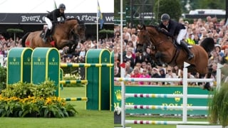 Hier, la Nordiste Nina Mallevaey a brillamment triomphé dans le Grand Prix Rolex du CSIO 5* de Bruxelles, décrochant ainsi sa première victoire dans une telle épreuve. En selle sur Dynastie de Beaufour, la jeune Française a signé une performance magistrale pour devancer Gregory Wathelet, qui a accusé près d'une seconde de retard associé au puissant Bond JamesBond de Hay. Revivez leur duel, présenté par Cheval Liberté.