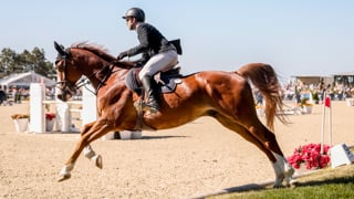 Xavier Hazebroucq a gagné le Derby Devoucoux du Touquet Classic hier après-midi dans le Pas-de-Calais. En selle sur Pertini van de Axelhoeve, le Nordiste a devancé d’un peu plus d’une seconde Raphael Goehrs, deuxième sur Flying Pleasure, et de plus de cinq secondes Alexis Lheureux, troisième avec Gemma d’Aunis. Revivez son parcours.