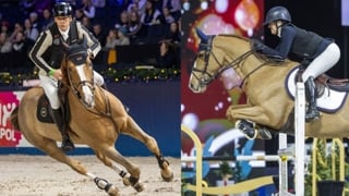 Dimanche, Peder Fredricson s’est adjugé à domicile le Grand Prix du CSI 4* de Stockholm. En selle sur SV Vroom de La Pomme, le Suédois a imposé son rythme et franchi la ligne d’arrivée deux foulées avant sa compatriote Amanda Landeblad, qui était associée à For Killy. Comparez leurs parcours avec Cheval Liberté.

Photos © Roland Thunholm / Sweden International Horse Show (SIHS)