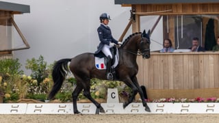
Ouvreuse de l’équipe de France aux championnats d’Europe de Crozet, Anne-Sophie Serre a conclu son Grand Prix avec 67,407% sur Jibraltar de Massa. La Provençale, qui disputait sa deuxième grande échéance extérieure est revenue sur sa prestation, durant laquelle son entier de onze ans s’est montré assez tendu. Elle a aussi évoqué ses objectifs jusqu’à l’année prochaine.