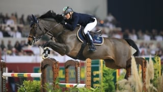 En 2007, il y a dix-sept ans déjà, Jessica Kürten et Castle Forbes Libertina avaient brillamment remporté la finale du Top Ten Rolex IJRC, dans le cadre du CHI de Genève. En selle sur la meilleure partenaire de sa carrière, l’Irlandaise fut la deuxième femme à gagner cette épreuve de prestige après l’Allemande Meredith Michaels-Beerbaum sacrée en 2004 et 2006 avec le génial Shutterfly. Plus étonnamment, elle est la dernière cavalière à avoir réussi cet exploit. Et cette année encore, dix hommes, dont le Normand Julien Épaillard, se disputeront ce titre tant convoité. Qui succèdera au Suisse Steve Guerdat et Vénard de Cerisy, vainqueurs l’an passé? Rendez-vous le vendredi 13 décembre à 21h à Palexpo.
Renseignements et réservations sur www.chi-geneve.ch