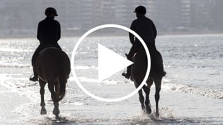 À l'occasion du CSIO 5* de La Baule, Officiel de France, nombreux sont les cavaliers à fouler la plage au petit matin... GRANDPRIX.tv vous emmène sur le terrain !