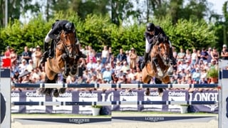 Hier, avec le puissant Inouï du Seigneur, Rik Hemeryck a remporté le Grand Prix Longines de la région Normandie au CSI 4* de Longines Deauville Classic. Associé à son hongre de onze ans, le Belge a devancé le Brésilien João Victor Castro Aguiar Gomes De Lima, qui avait misé sur l’excellent étalon Cashpaid J&F. Revivez leur duel, présenté par Cheval Liberté.