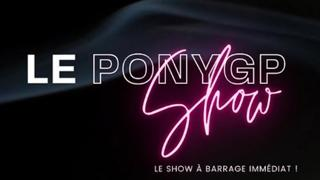 Une débutante arrive dans un centre équestre... et a encore beaucoup à apprendre ! Découvrez le cinquième épisode du PonyGPShow, le programme humoristique conçu en partenariat avec PonyCorn le blog. 