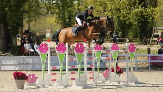 Dimanche, Antoine Ermann a brillamment remporté le Grand Prix du CSI 2* de Barbaste, en Nouvelle-Aquitaine. En selle sur Delirium Zoetendaele, le cavalier de l’écurie toulousaine Chev’el a battu d’un cheveu le Landais Sébastien Duplant, deuxième sur Destinée d’Euskadi. Revivez leur Duel, présenté par Cheval Liberté.