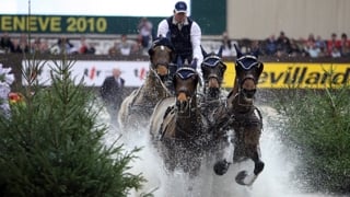 Longtemps, Boyd Exell régna sans partage sur les épreuves d’attelage du CHI de Genève. De 2008 à 2019, le meneur australien resta invaincu à Palexpo, sur la plus belle de toutes les pistes de la Coupe du monde, s’imposant douze fois consécutivement, y compris lors de la finale de la série, que Genève accueillit en avril 2010. Revivez ici sa troisième victoire suisse, célébrée en décembre 2010 par un public déchaîné. Depuis 2021, c’est le Néerlandais Bram Chardon qui fait la loi à Genève. Cette année, les deux hommes se livreront un nouveau duel. Rendez-vous le dimanche 15 décembre à 11h30.
Renseignements et réservations sur www.chi-geneve.ch