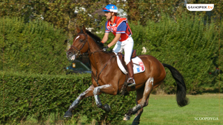 En 2005, Nicolas Touzaint et Tatchou remportaient le championnat du monde des chevaux de 7 ans au Lion d’Angers. Flashback. 