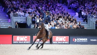 Cette année, Olivier Perreau a enflammé le public d’Equita Lyon en s’imposant dans le Grand Prix de la Coupe du monde aux rênes de son excellente GL Events Dorai d’Aiguilly. Cerise sur le gâteau, le cavalier rhônalpin a dominé ce jour-là un podium 100% français, complété par Julien Épaillard et Antoine Ermann. Retour en images sur la victoire du couple. 

Photo : FFE / PSV