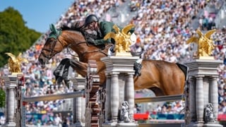 Gagnante des Coupes du monde de Leipzig et d’Amsterdam début 2024 sous la selle de Daniel Coyle, Legacy a été un atout majeur dans les succès de l’équipe irlandaise tout au long de l’année. En septembre, quelques semaines seulement après sa participation aux Jeux olympiques de Paris, la baie a notamment contribué à la quatrième place de son équipe dans la finale de la Ligue des nations Longines à Barcelone. Elle est sans conteste la jument de l’année !