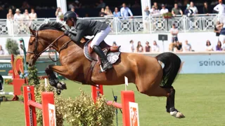 Cet après-midi, Julien Épaillard a été sacré champion de France Pro Élite pour la première fois de sa carrière aux rênes d’Hard’Rock Queen HJD, qui a montré de très bonnes choses ce samedi du haut de ses neuf ans. L’Augeron revient sur cette excellente performance de son complice, se confie sur sa portée et évoque la suite de son programme avec ses différents chevaux en vue des Mondiaux d’Aix-la-Chapelle.