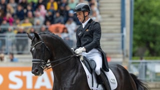 En 2025, le Belge Justin Verboomen a insufflé un vent de fraîcheur au dressage mondial. Auteur d’une saison époustouflante avec son partenaire Zonik Plus, il s’est hissé au sommet du classement mondial de la discipline. Les deux complices s’imposent comme le couple de l’année. 