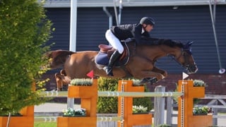 Dimanche dans le Grand Prix 3* d’Opglabbeek, en Belgique, Joe Whitaker n’a laissé aucune chance à son concurrent direct Alexander Housen. Associé à Hulahupe JR, le Britannique a franchi les cellules avec plus de 2,4 secondes d’avance sur le Belge associé à Elixir de Hus. Avec Cheval Liberté. 