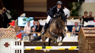 En avril 2010, il y a un peu plus de quatorze ans, Steve Guerdat et Jalisca Solier avaient éclaboussé de leur talent la finale de la Coupe du monde organisée dans le cadre du CHI de Genève. Ils avaient alors remporté le Trophée de Genève, une épreuve à barrage à 1,55m ouverte aux couples non engagés dans l’ultime confrontation en deux manches de la finale. Auteur d’un barrage impeccable, le Suisse avait devancé l’Australienne Edwina Tops-Alexander et le Normand Kevin Staut, deux et troisième sur Cevo Socrates et Le Prestige St Lois. Un nouveau triomphe genevois pour le Jurassien et sa jument de cœur, victorieux du Grand Prix Rolex en 2006, et lauréats quelques mois plus tard de la finale du Top Ten Rolex IJRC, toujours sur la même piste. Qui succèdera à l’Américain Kent Farrington et Toulayna, vainqueurs du Trophée de Genève l’an passé? Rendez-vous le jeudi 12 décembre à 20h10 à Palexpo.
Renseignements et réservations sur www.chi-geneve.ch